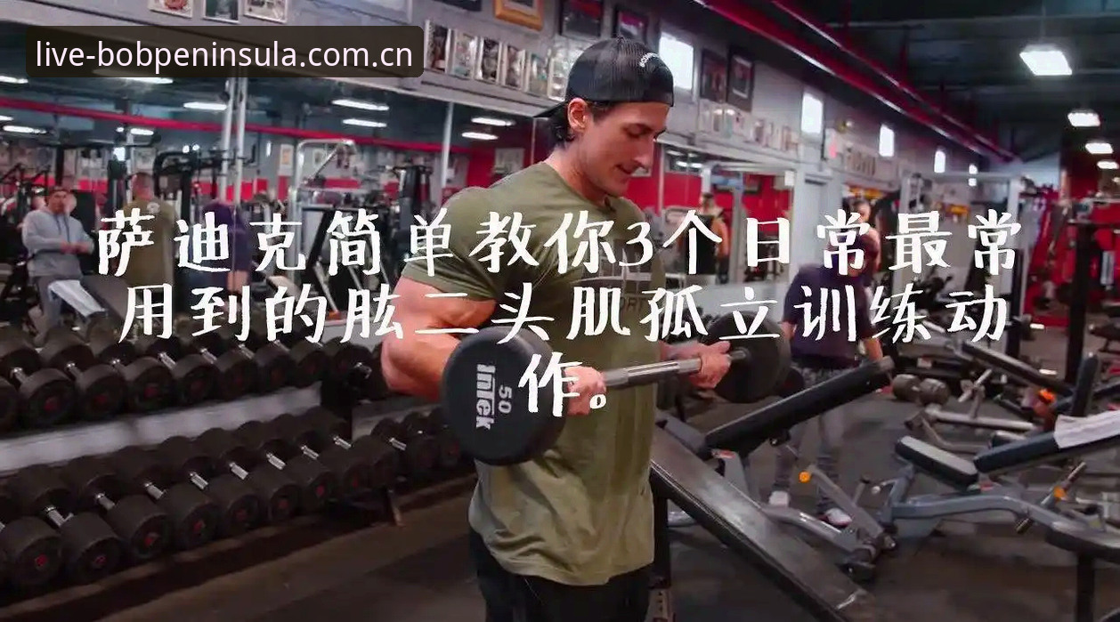 半岛体育入口常见问题 bob体育平台深度评测:半岛体育入口常见问题全解析,从卡顿到客服的完整解决方案